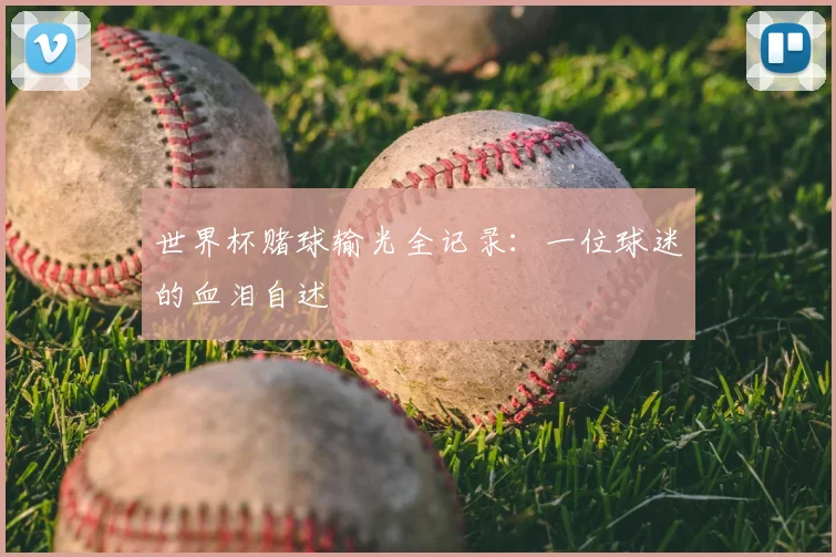 世界杯赌球输光全记录：一位球迷的血泪自述