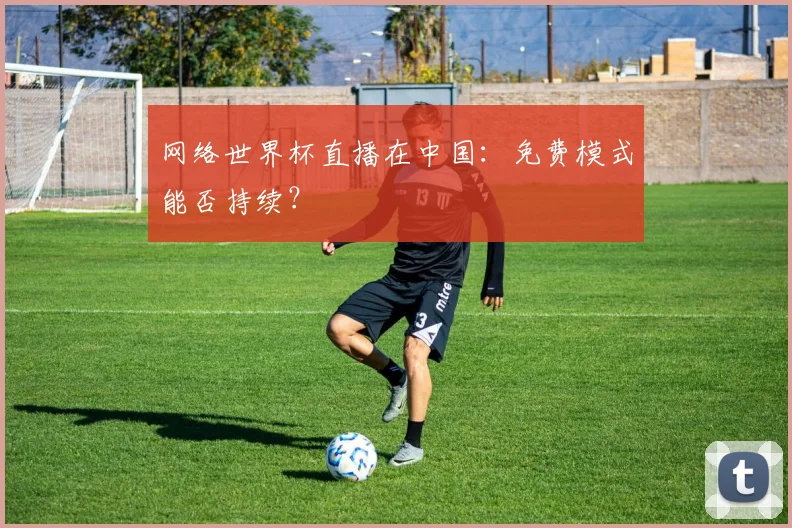 网络世界杯直播在中国：免费模式能否持续？