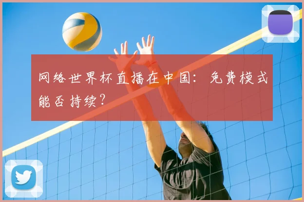 网络世界杯直播在中国：免费模式能否持续？