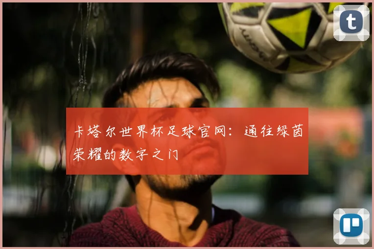 卡塔尔世界杯足球官网：通往绿茵荣耀的数字之门