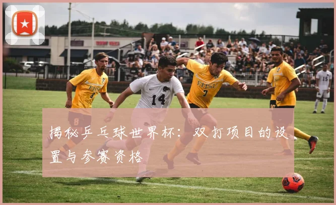 揭秘乒乓球世界杯：双打项目的设置与参赛资格