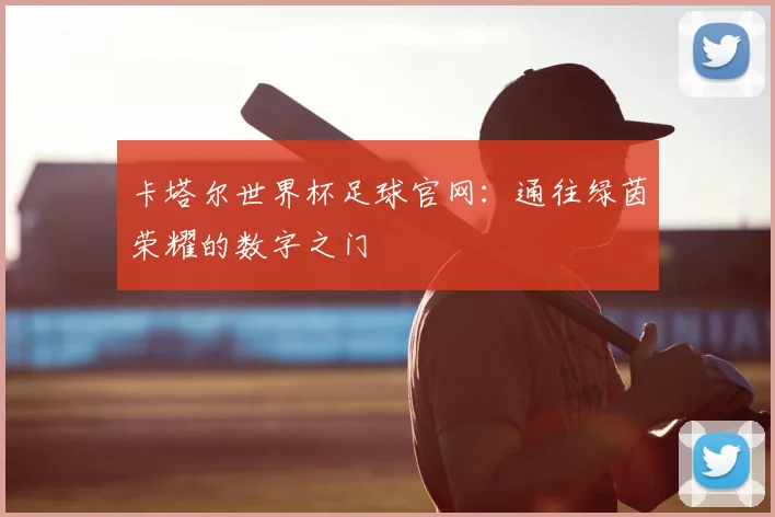 卡塔尔世界杯足球官网：通往绿茵荣耀的数字之门