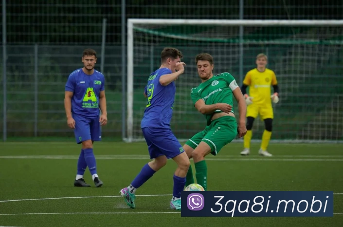 开云手机在线官网登录APP 体育赛事宣传图